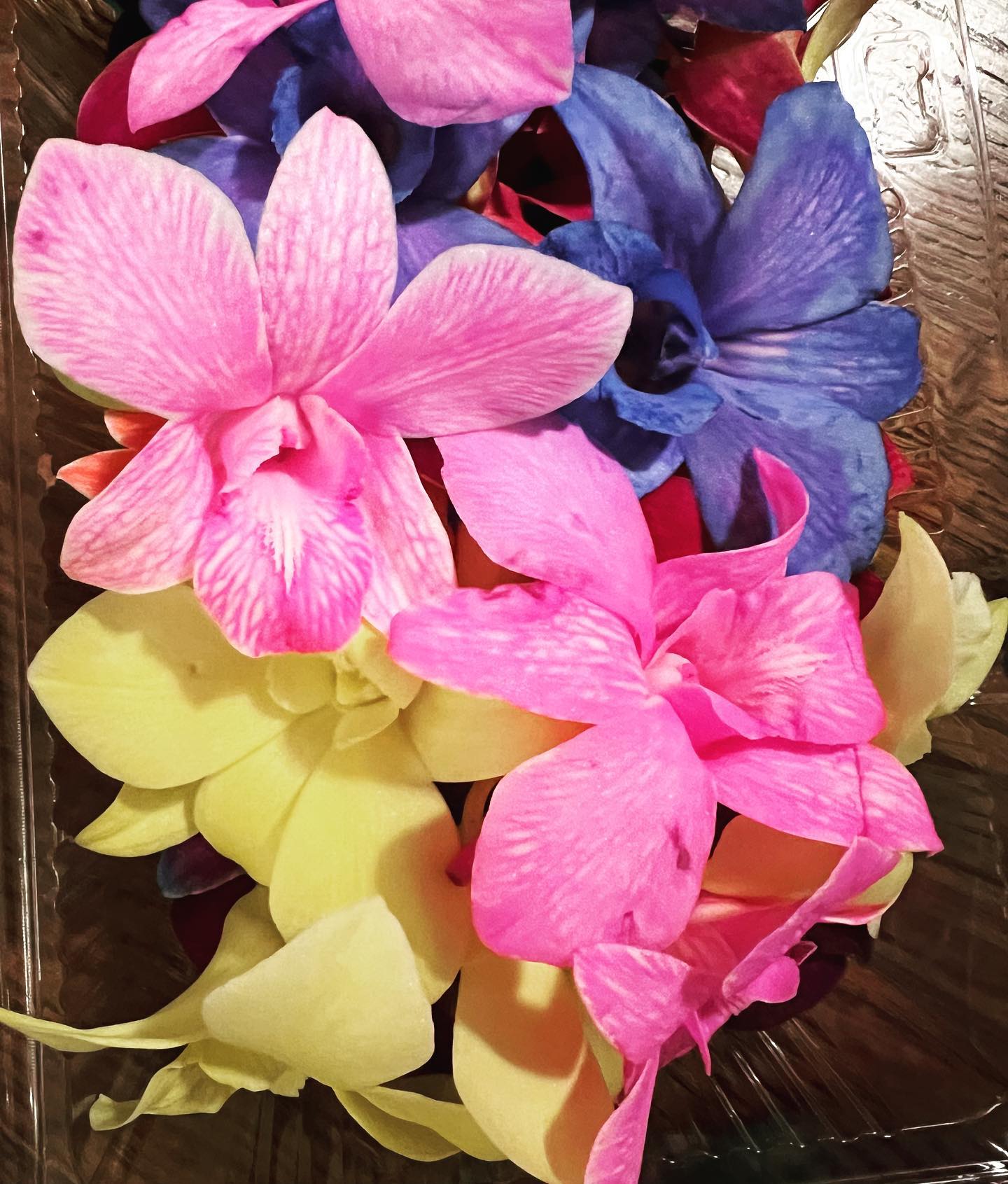 100 CANDY Orchid Loose Bloom Subscription Fresh Cut Flowers