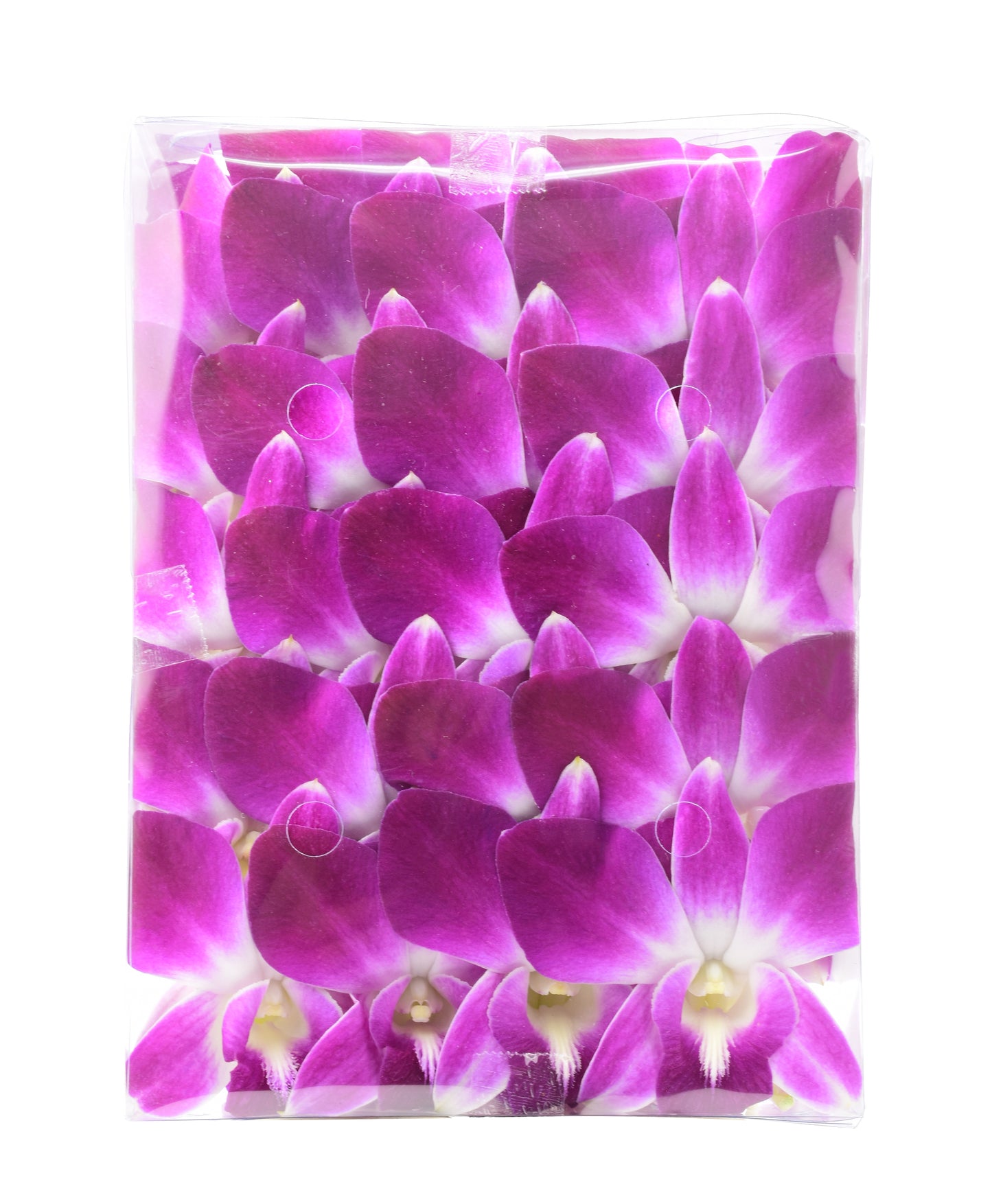 IN STOCK - 50 Purple Bombay Fresh Cut Dendrobium Orchid Loose Bloom