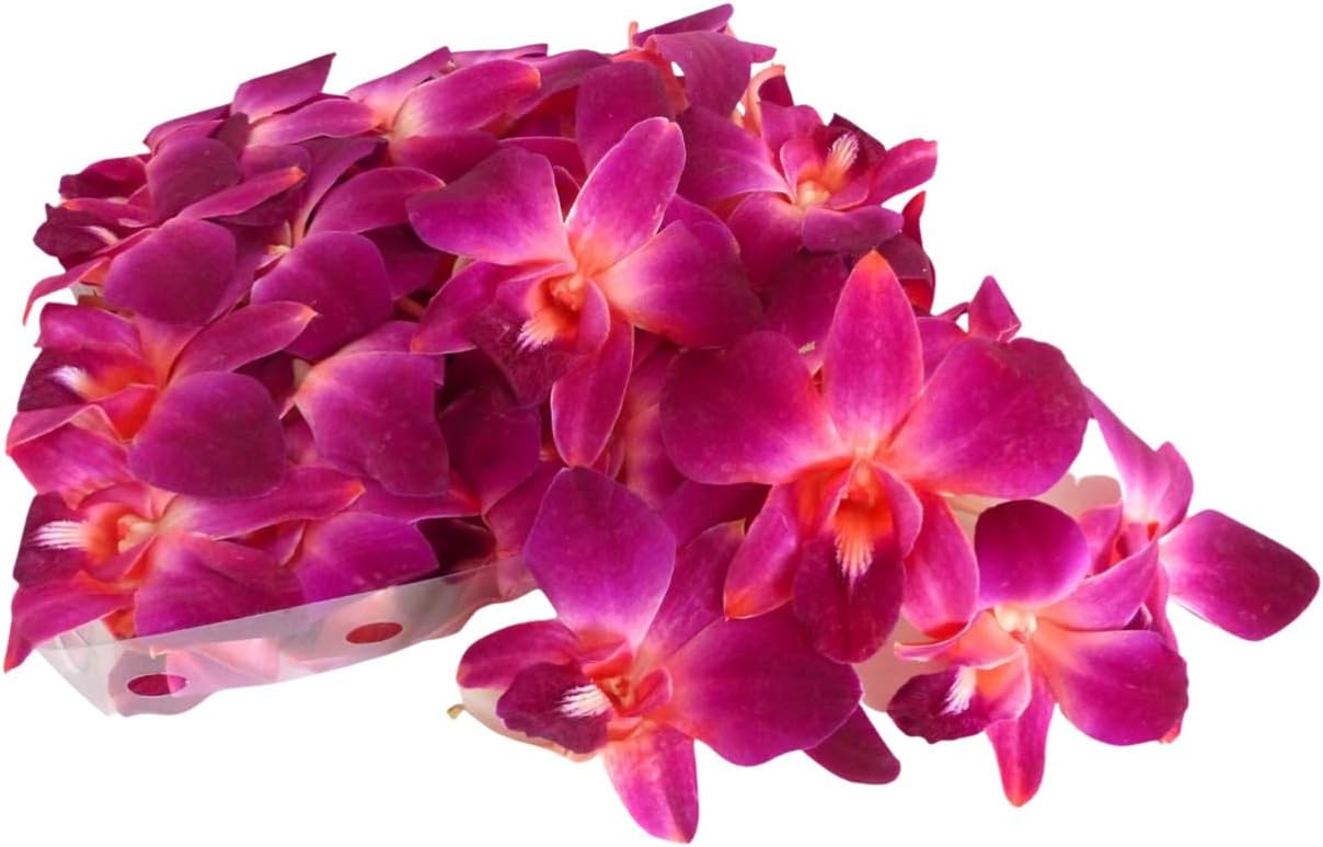 50 Red DYED Orchid Loose Bloom Fresh Cut Flowers Bundle Build A Box