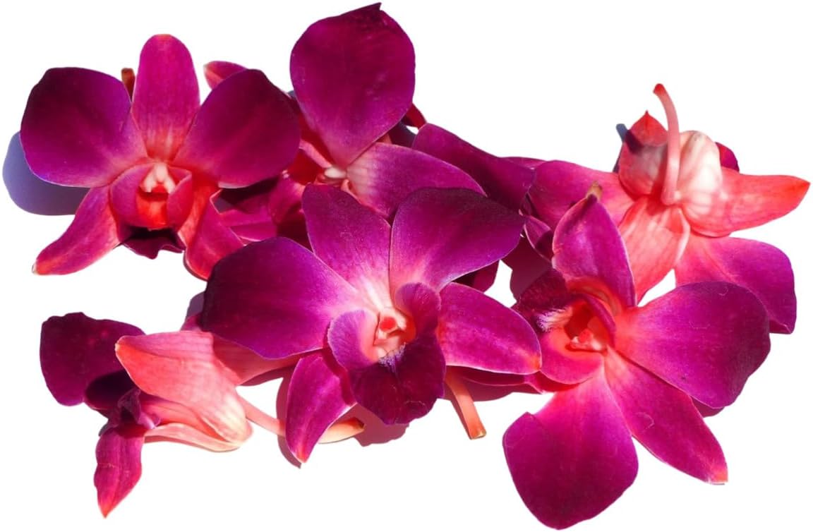 50 Red DYED Orchid Loose Bloom Fresh Cut Flowers Bundle Build A Box