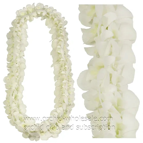 PREBOOK BULK - White DOUBLE LEI Dendrobium Orchid Fresh Flowers