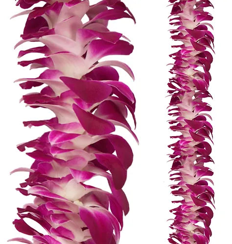 PREBOOK BULK - Purple SINGLE Orchid Strand Flower String Dendrobium Fresh Cut Flowers