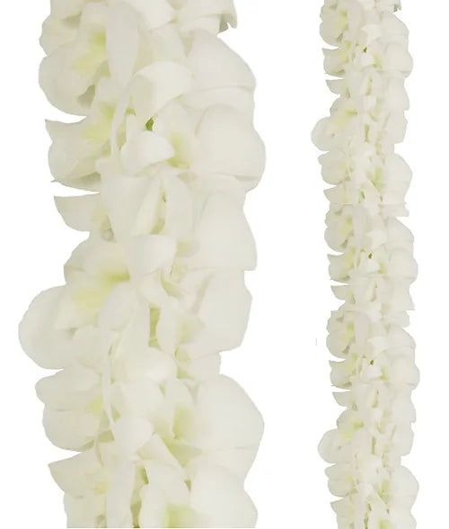 White Orchid DOUBLE Strand Flower String Dendrobium Fresh Cut Flowers