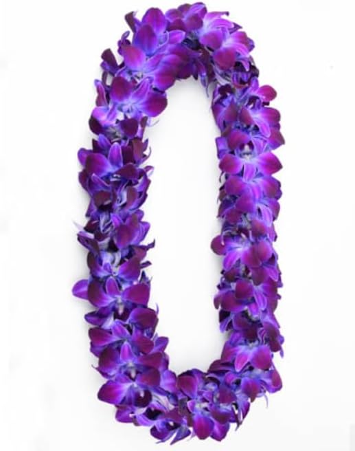 Prebook 100 LAVENDER DYED-Sonia-Orchid Fresh Cut Flowers Loose Bloom Orchid Dendrobium