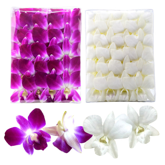 IN STOCK - 50PURPLE 50WHITE COMBO Fresh Cut Dendrobium Orchid Loose Bloom