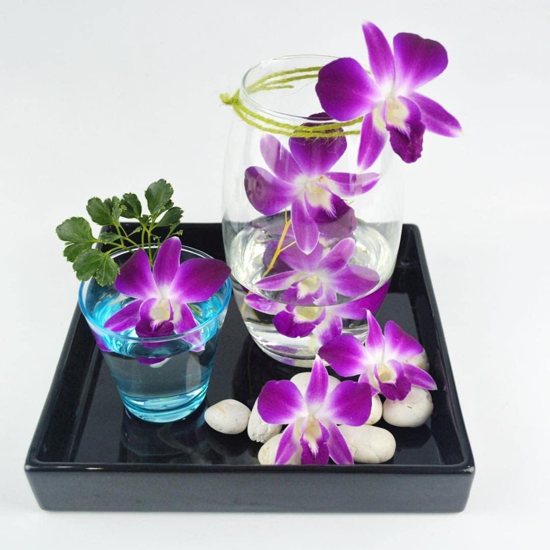 IN STOCK - 50 Purple Bombay Fresh Cut Dendrobium Orchid Loose Bloom