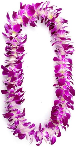 IN STOCK - 50 Purple Bombay Fresh Cut Dendrobium Orchid Loose Bloom