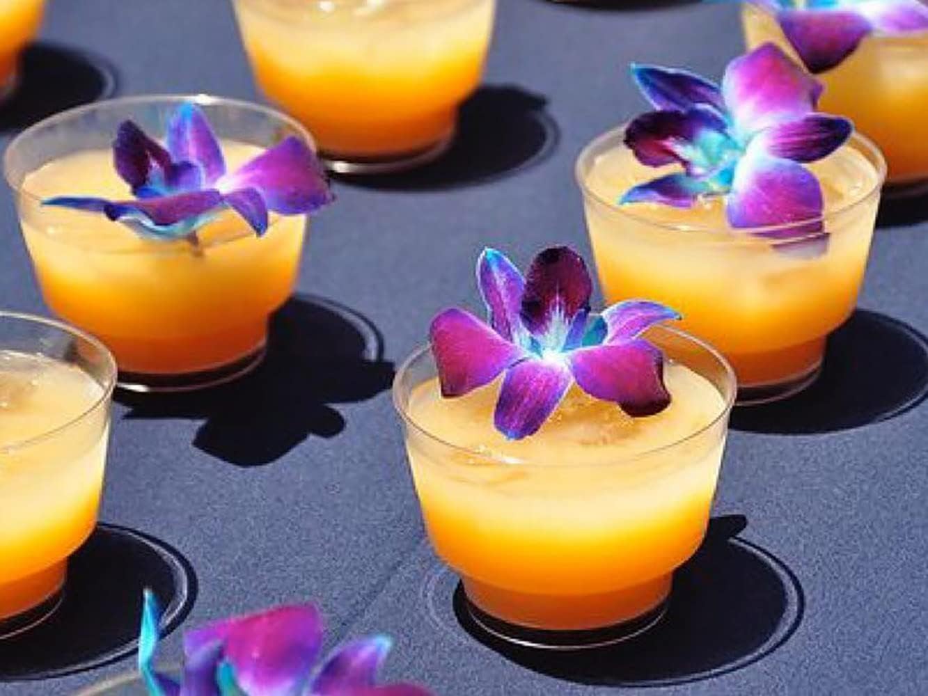 100 Rainbow Orchid Loose Bloom Subscription Fresh Cut Flowers
